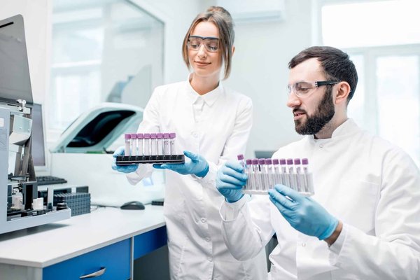 Quelles sont les responsabilités d'une assistante de direction?